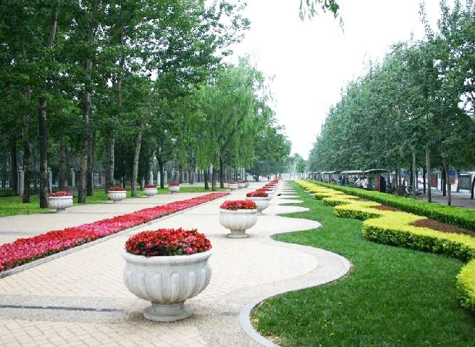 蘇州持續(xù)40度高溫天氣，景觀園林綠化養(yǎng)護(hù)技術(shù)