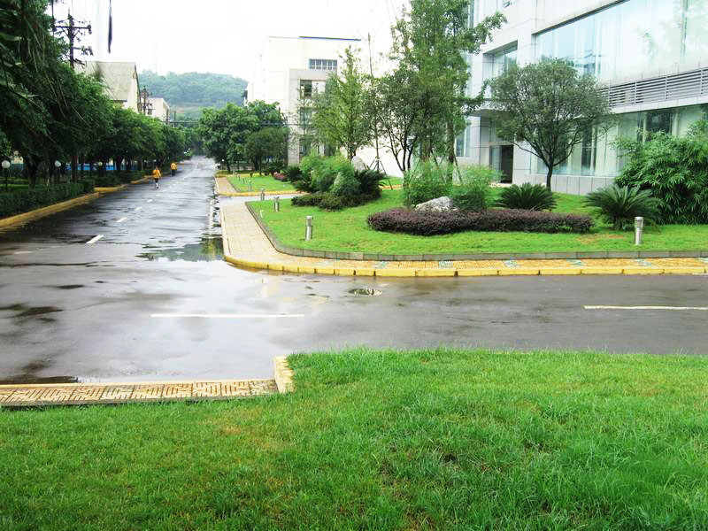 蘇州小區(qū)綠化養(yǎng)護(hù)知識基本常識？