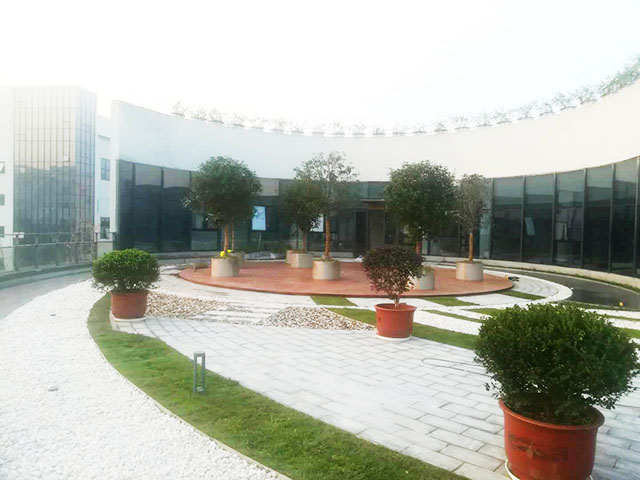 盆栽租賃的未來(lái)趨勢(shì)與發(fā)展方向