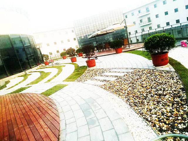 盆栽租賃 盆栽租賃