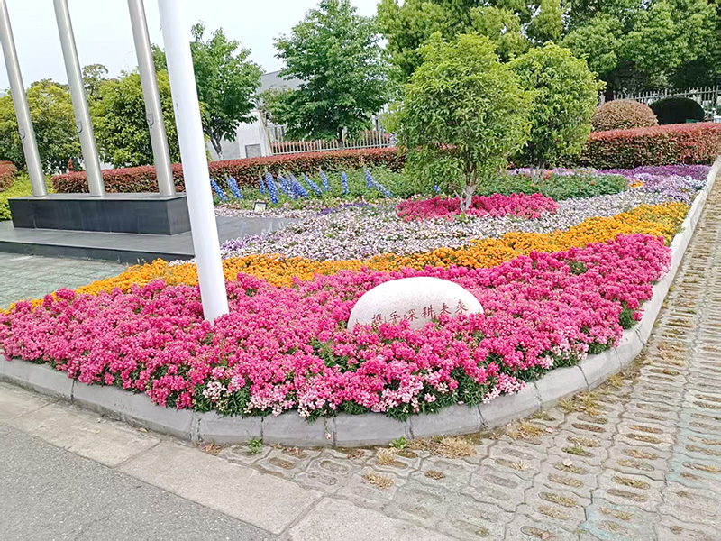 常熟思邁特電梯部件有限公司