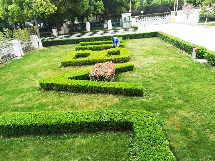 園林綠化工程中容易忽視的幾個要點？