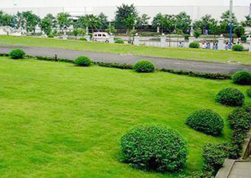 綠化養(yǎng)護方法都有那些？