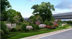 蘇州景觀綠化-園林綠化和園林景觀是一樣么？